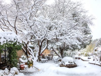 Gartenkalender Januar: Schneelast beseitigen